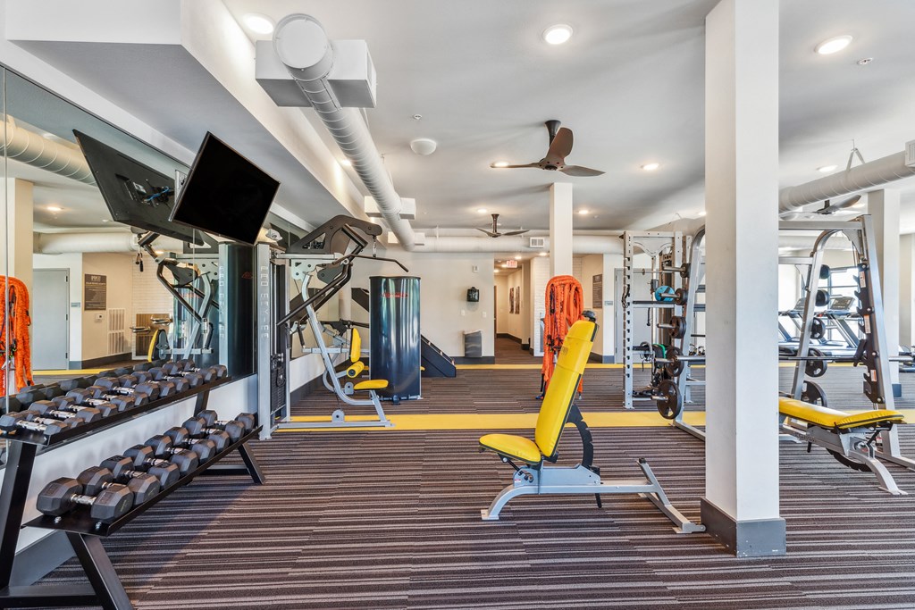 free weights and cardio machines at the enclave at woodbridge apartments in sugar land, tx