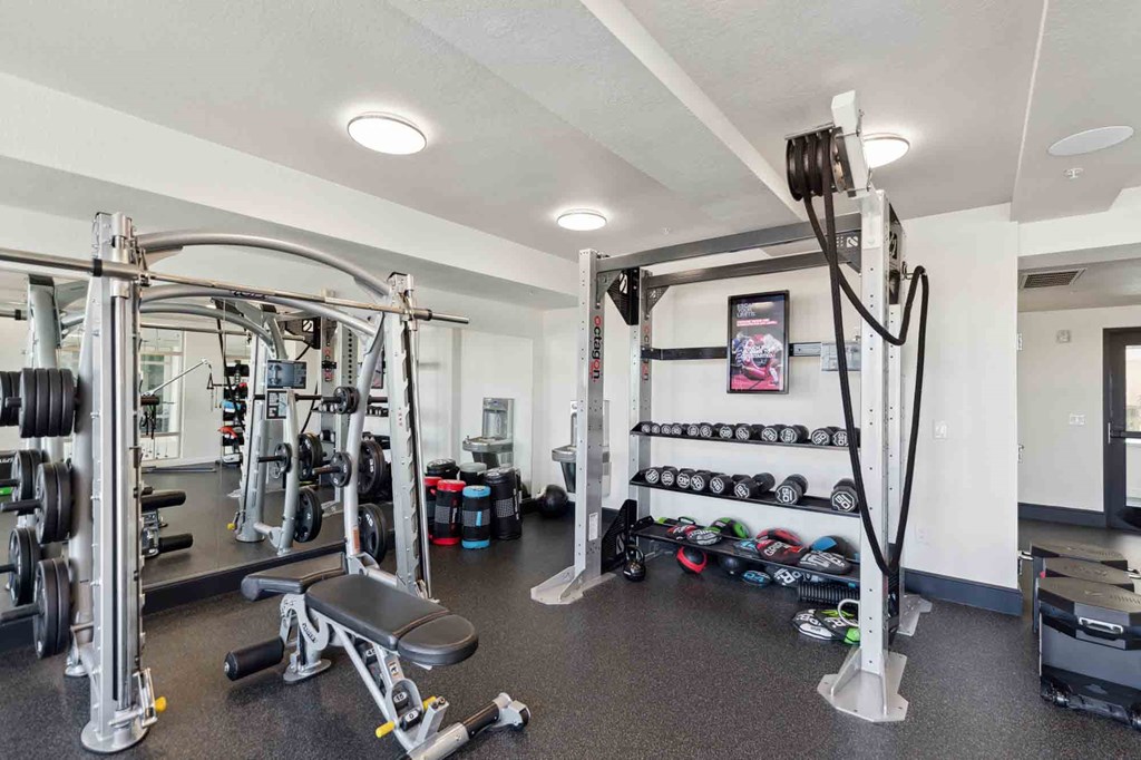 create a home gym in your basement