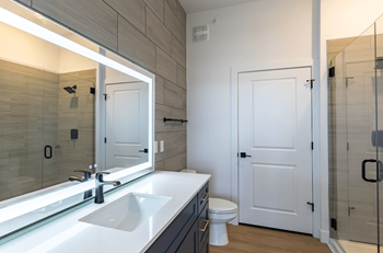 a bathroom with a large mirror and a sink and a toilet