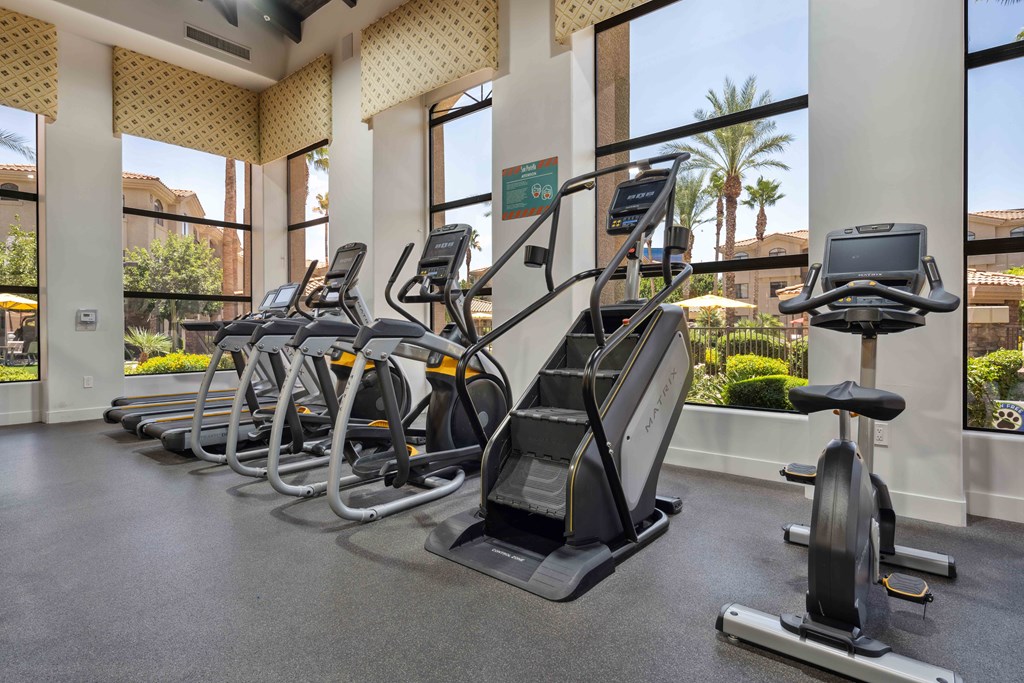 rows of cardio equipment in a fitness center with large windows