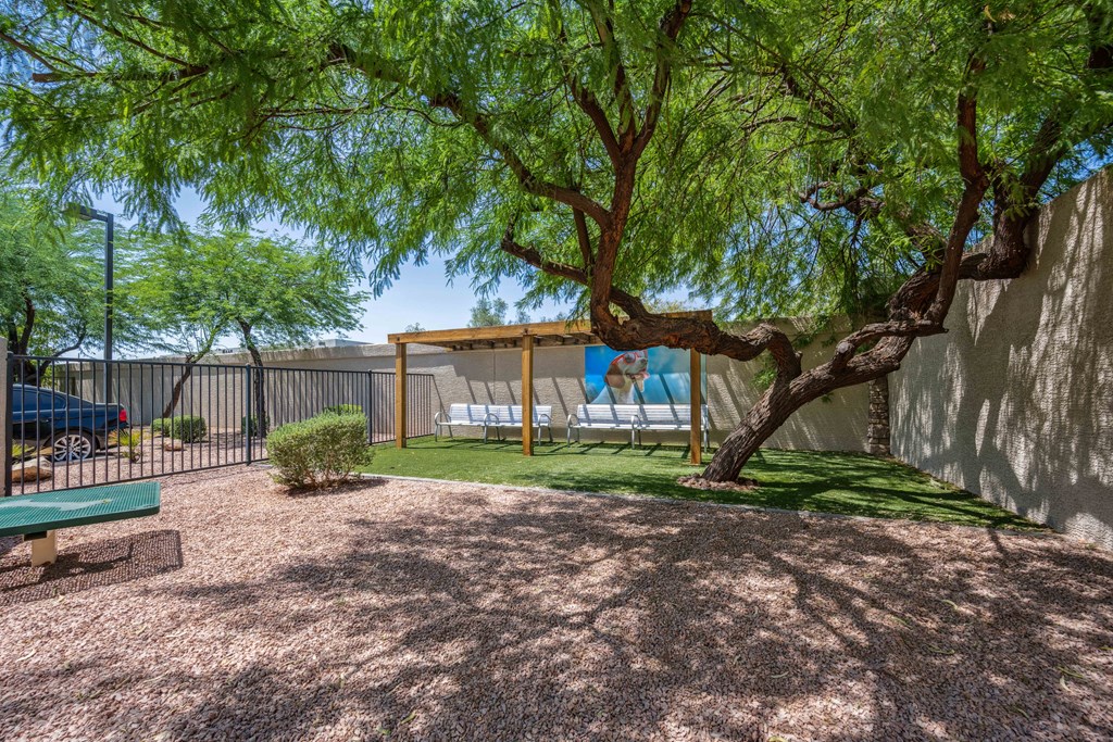 open dog park at tempe apartment community