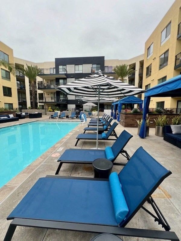 a row of blue lounge chairs next to a swimming pool