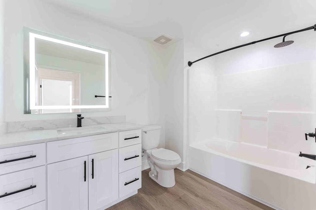 a bathroom with a sink and a toilet and a bath tub