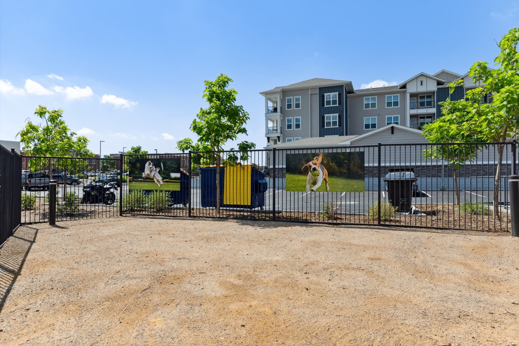 community dog park