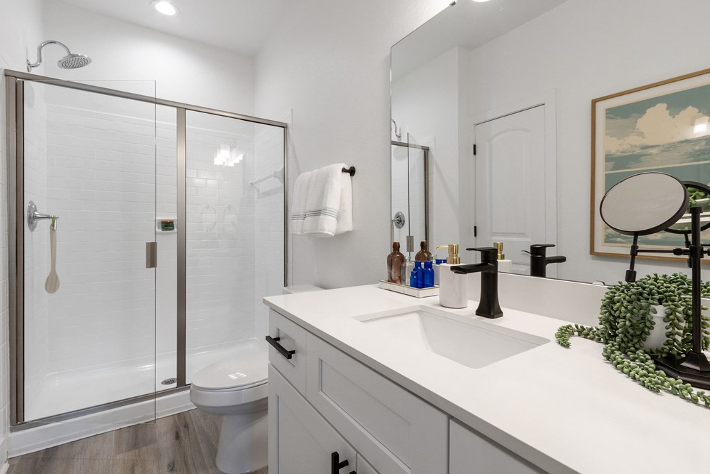 a bathroom with a shower and a sink and a mirror
