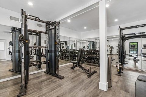 A gym with a variety of equipment including a squat rack, bench press, and a mirror.