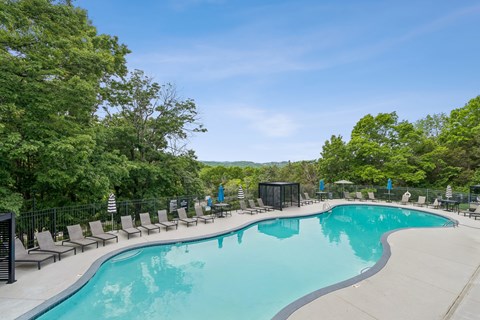 A large outdoor swimming pool surrounded by trees and lounge chairs.