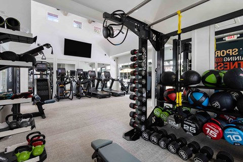 a gym with weights and a tv on the wall