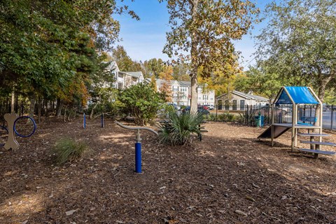 a park with a playground and trees