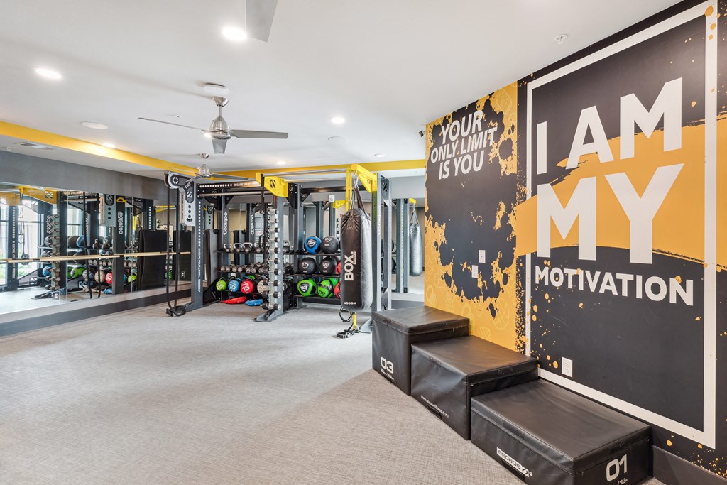 the gym at the zeb in colorado springs co