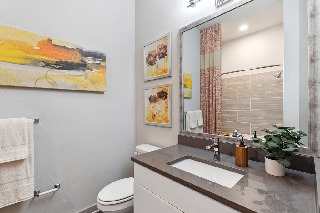 a bathroom with a sink and a mirror and a toilet