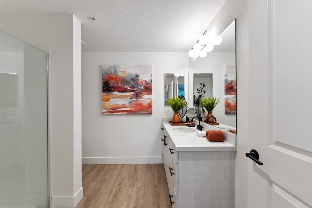 a bathroom with a sink and a mirror and a shower