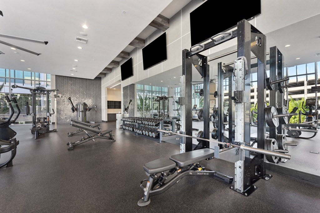 A gym with a variety of equipment including a squat rack.