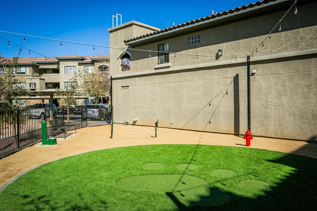 Presley at Whitney Ranch Dog Park