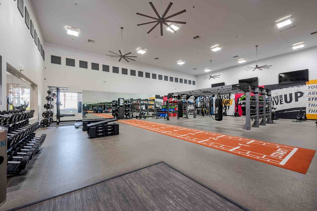 a wide angle view of the free weights area of the life time fitness gym
