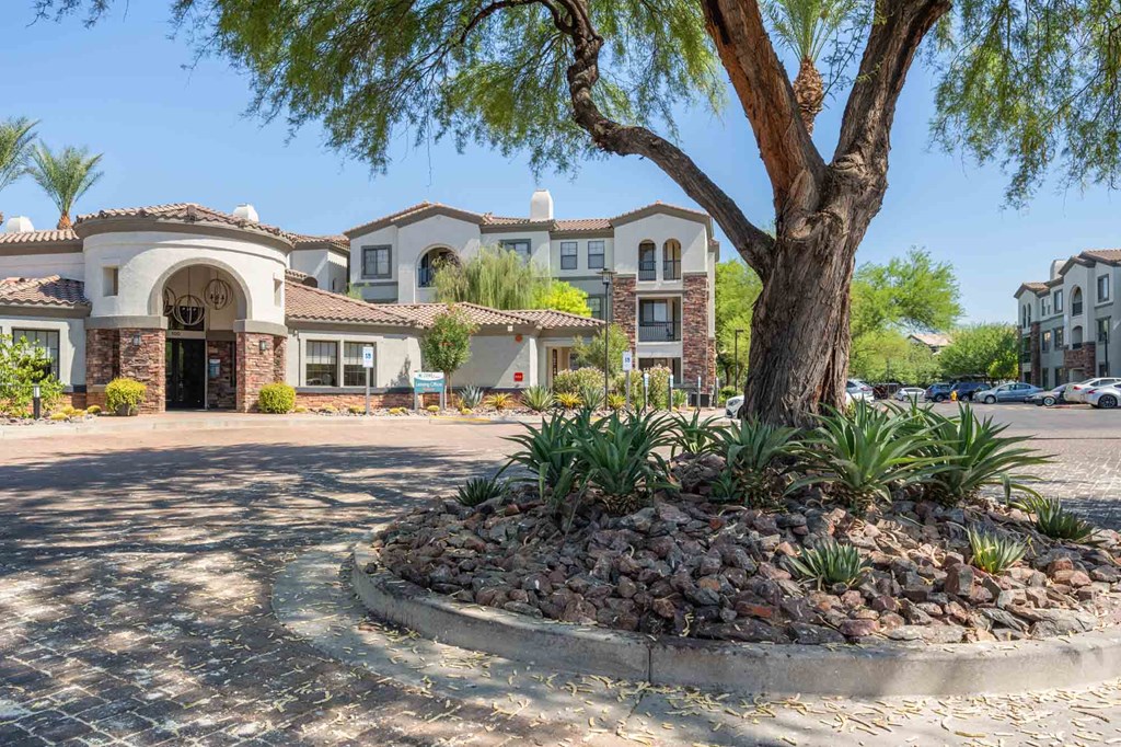 a tree in the middle of a parking lot in front of a building