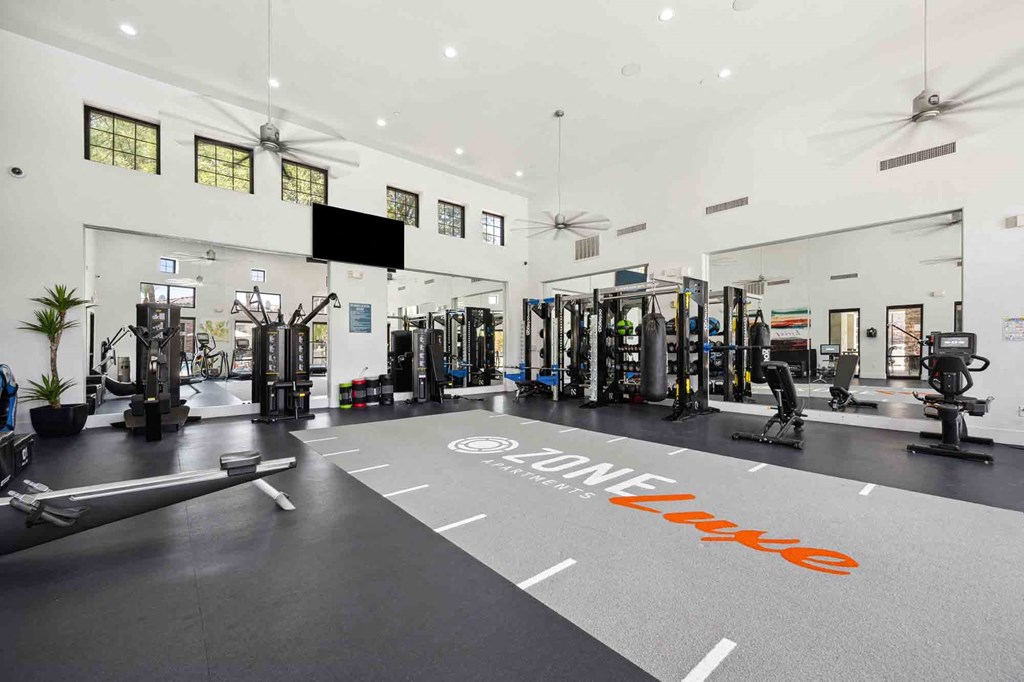 a gym with weights and cardio equipment