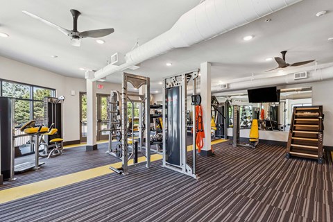 A gym with a variety of equipment including a squat rack, bench press, and a rowing machine.