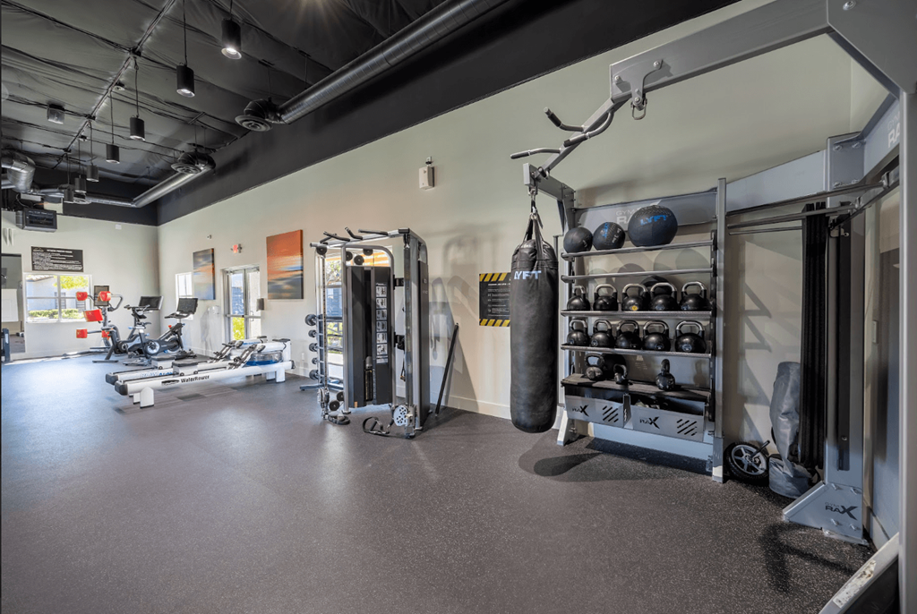 a gym with weights and weights on the wall and a punching bag on the floor