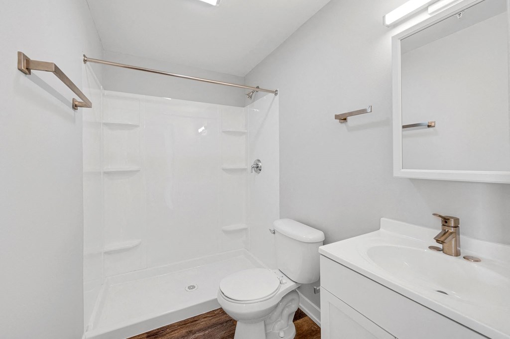 a bathroom with a toilet and a sink and a shower