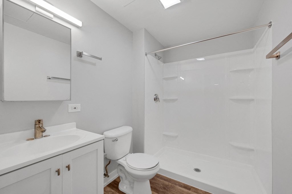 a bathroom with a sink toilet and a shower