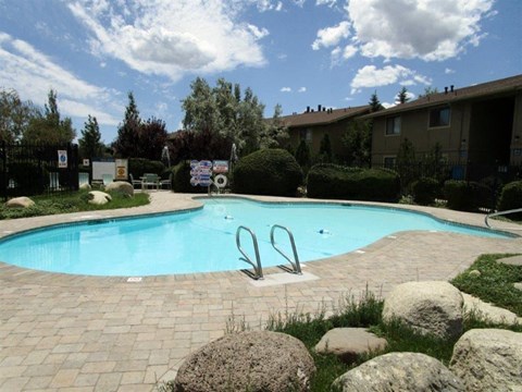 A swimming pool surrounded by rocks and bushes.