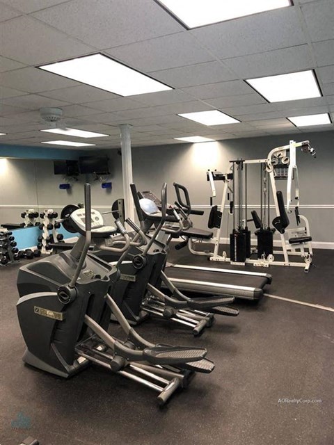 A gym with treadmills and elliptical machines.