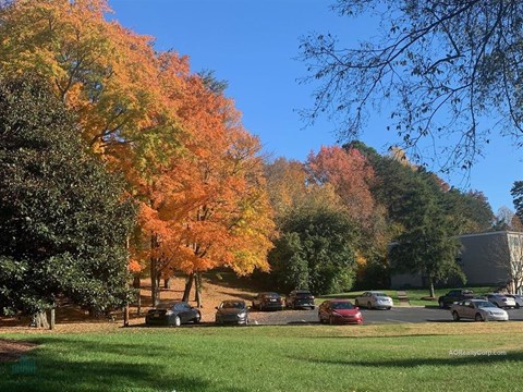 A parking lot with cars and trees with orange leaves.