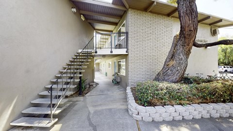 A tree is growing out of a planter box at Pennsylvania Place, Davis, CA