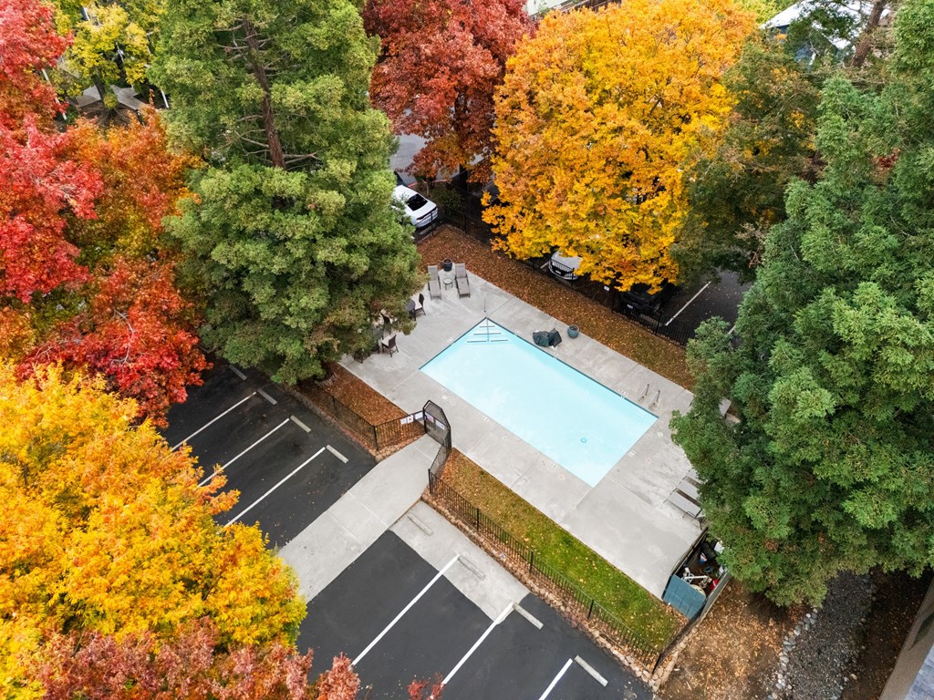 Aerial Pool View at Redwood Cove Apartments, Chico, CA 95928  