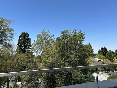 A balcony with a metal railing overlooks a lush green forest.