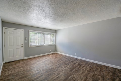 A room with a wooden floor and a white door.