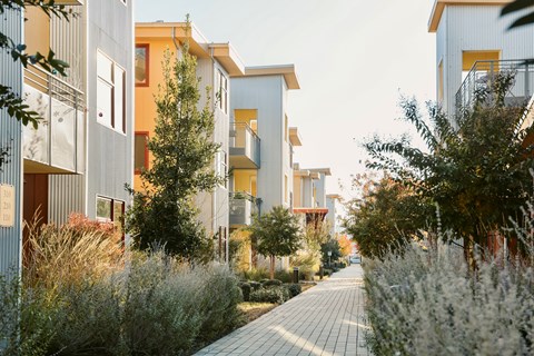 A long walkway separates apartment buildings with greenery on either side.