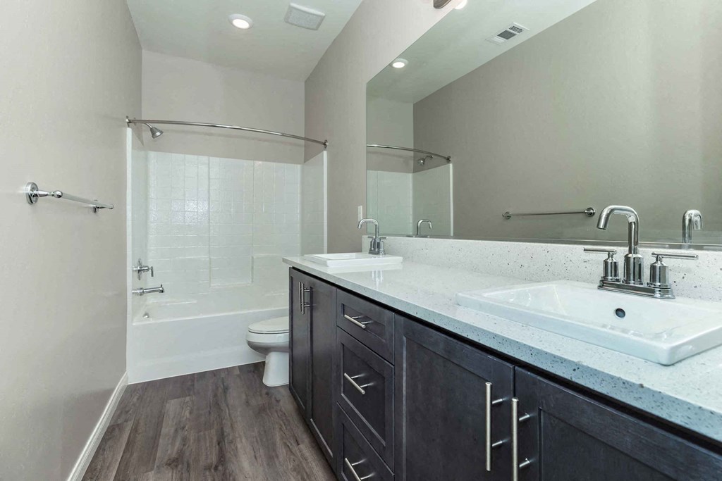 a bathroom with a sink and a toilet and a shower