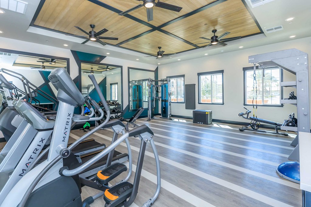a gym with cardio equipment and weights in a home gym