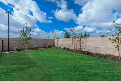 a backyard with a wall and green grass and trees