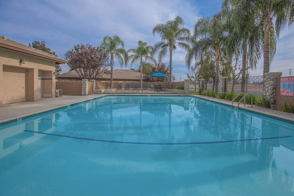 a swimming pool with palm trees next to a building