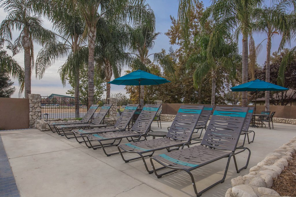 a row of lounge chairs with umbrellas and palm trees