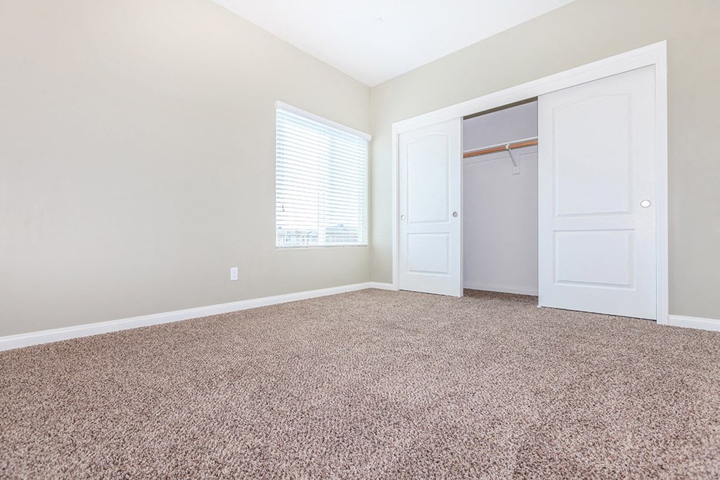 an empty room with carpet and a closet