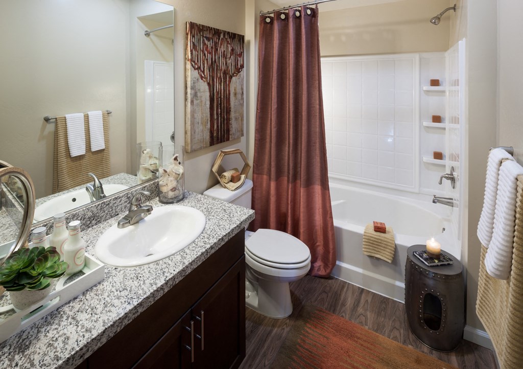 a bathroom with a sink and a toilet and a bath tub