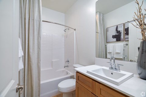 a bathroom with a sink and a shower and a toilet