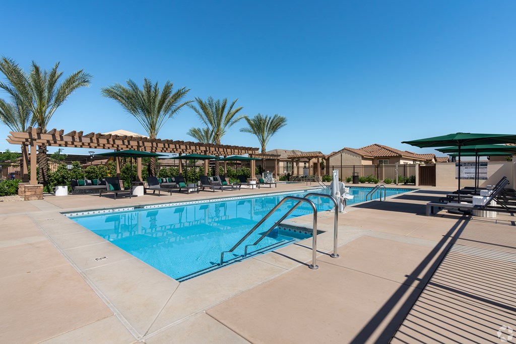 A large swimming pool surrounded by palm trees and lounge chairs.
