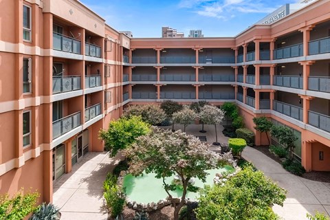 A courtyard with a tree and bushes surrounded by buildings.