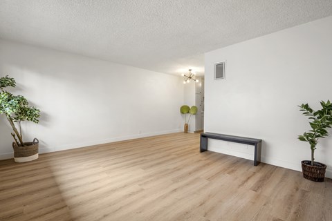 One Bedroom Open Living Room Space