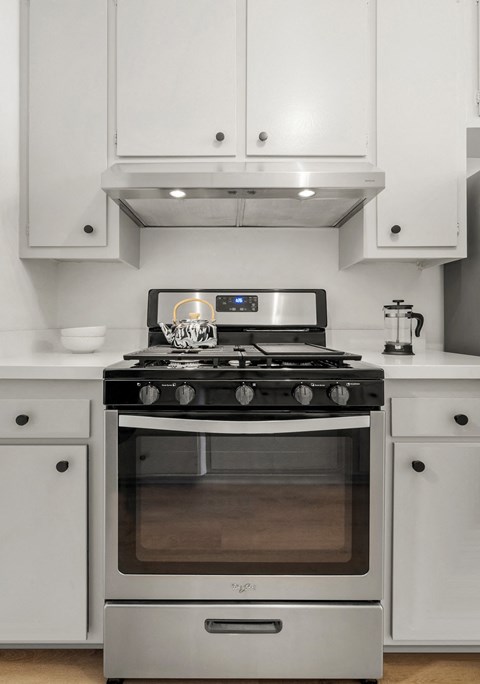 Kitchen stove and range