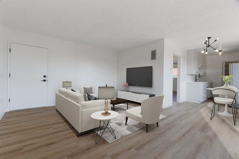 One Bedroom Living Room