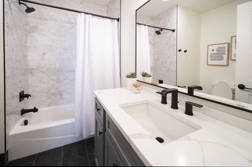 a bathroom with a sink and a shower and a tub