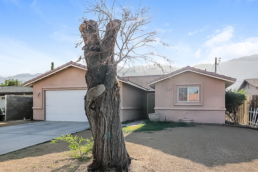 A tree stands in front of a house with a garage.