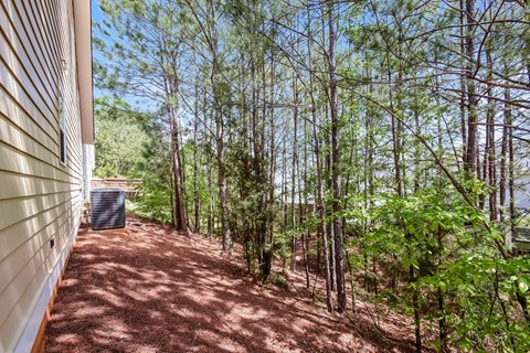 A backyard with a shed and trees.