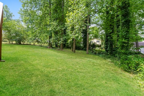 A backyard with a green lawn and trees.